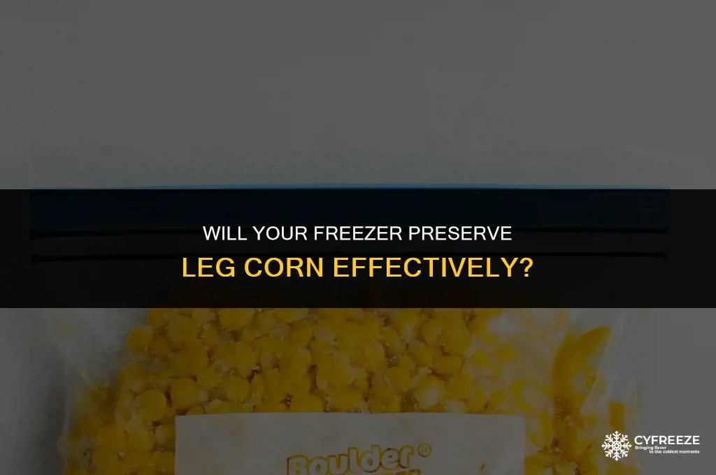 does the freezer will work leg corn