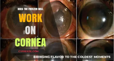 Exploring the Effects of Freezer Temperatures on Corneal Health