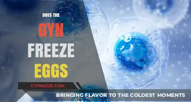 Egg Freezing: Gynecologist Insights on Preserving Fertility Options
