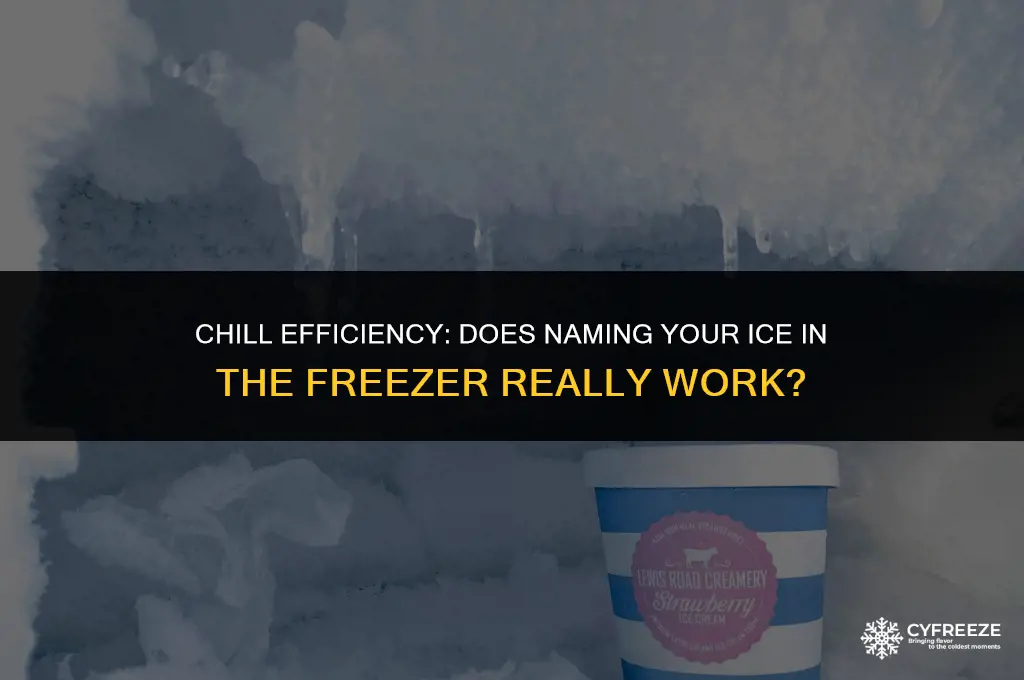 does the ice name in freezer work