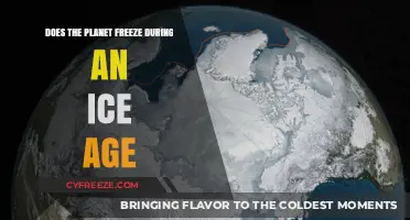 Exploring the Frigid Depths: Do Ice Ages Freeze Our Planet Solid?
