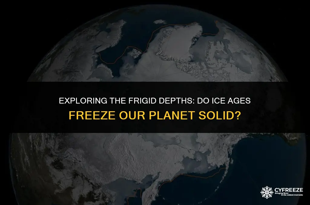 does the planet freeze during an ice age