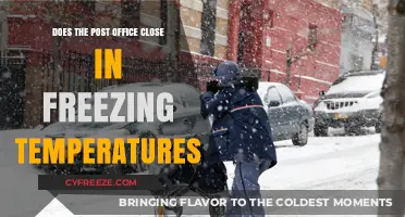 Post Office Operations in Freezing Temperatures: What You Need to Know