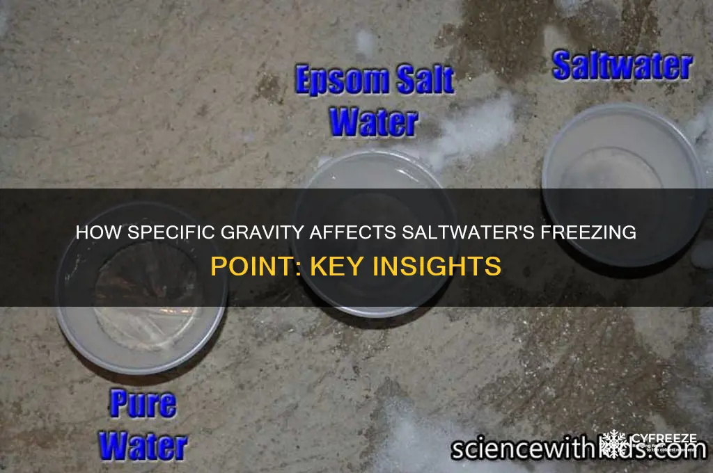 does the specific gravity change the freezing point of saltwater