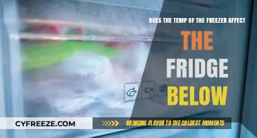Chill Factor: How Freezer Temps Influence Your Fridge's Performance