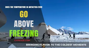 Antarctica's Temperature: Does It Ever Rise Above Freezing Point?