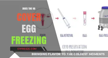 VA Benefits and Egg Freezing: What's Covered for Veterans?