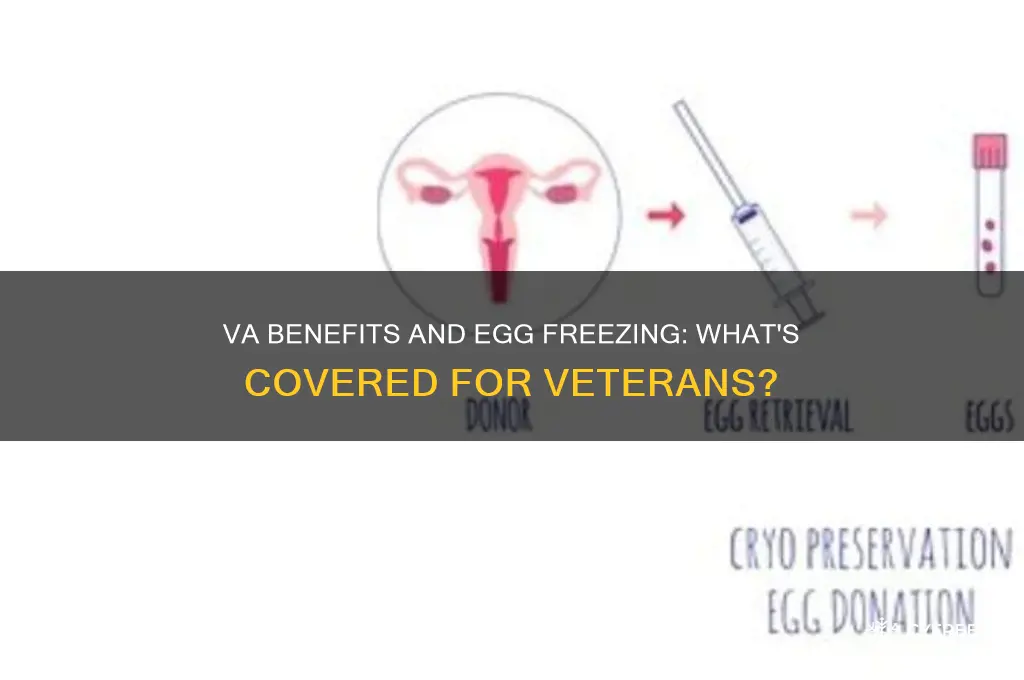 does the va cover egg freezing