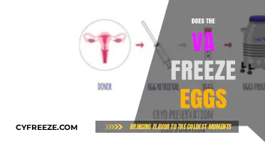 VA Egg Freezing: What Veterans Need to Know About Fertility Preservation