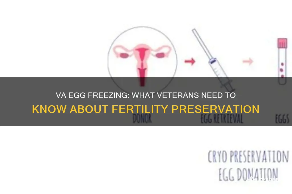 does the va freeze eggs