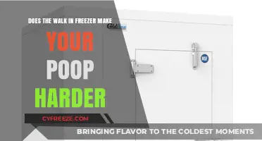 The Chill Factor: How Walk-In Freezers Affect Your Digestive Health