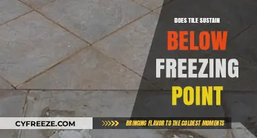 Can Tiles Withstand Freezing Temperatures? Durability and Maintenance Tips