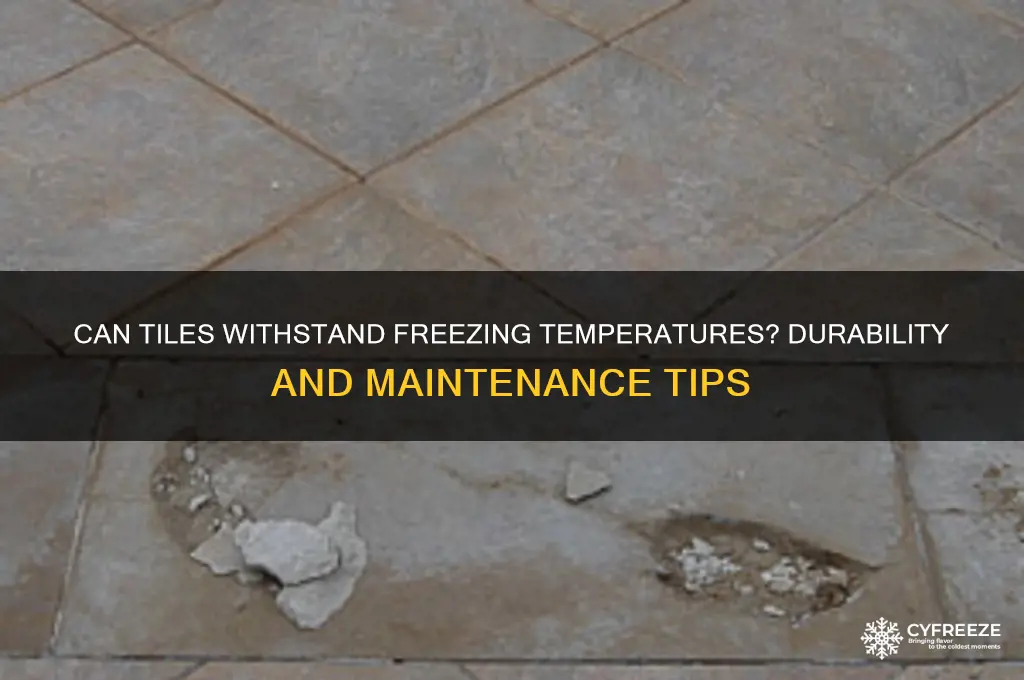 does tile sustain below freezing point