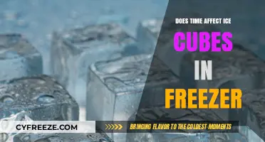The Timeless Chill: How Ice Cubes Fare in the Freezer