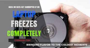 Laptop Freeze: Does Your Data Get Corrupted When System Crashes?