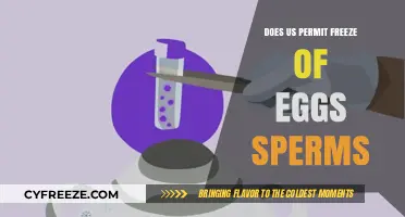 US Egg and Sperm Freezing: Legal Permits and Regulations Explained
