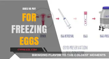 Does VA Cover Egg Freezing Costs for Veterans?