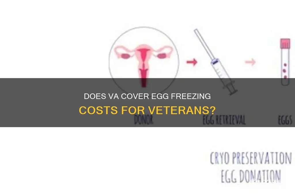 does va pay for freezing eggs