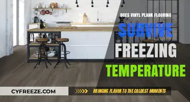 Can Vinyl Plank Flooring Withstand Freezing Temperatures? Expert Insights