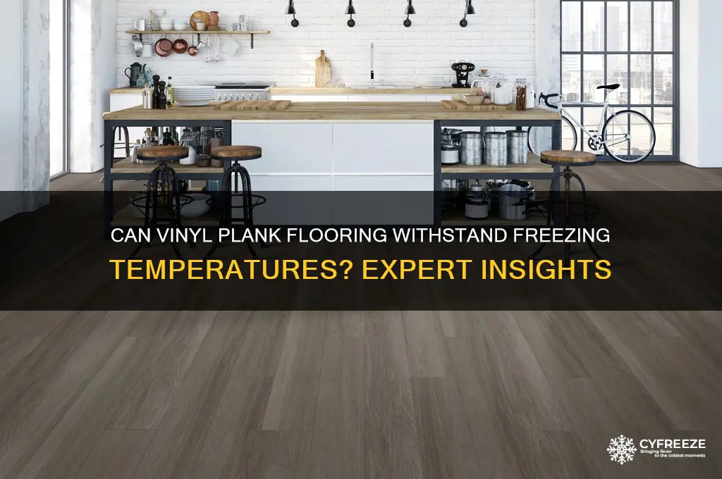 does vinyl plank flooring survive freezing temperatures