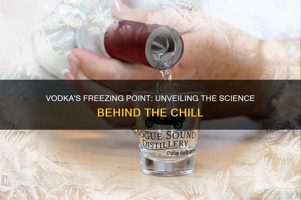 does vodka have a freezing point