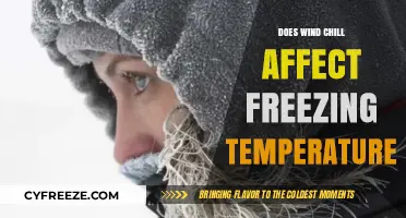 Wind Chill's Impact: Does It Alter Freezing Temperature Thresholds?