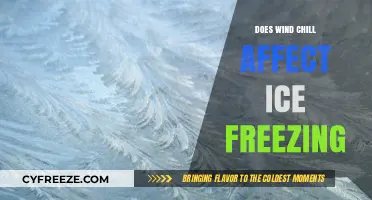 Chilling Insights: How Wind Chill Impacts Ice Formation