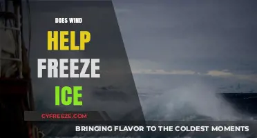 Chill Factor: How Wind Influences Ice Formation