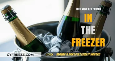 Can You Freeze Wine? The Truth About Chilling Your Favorite Bottle