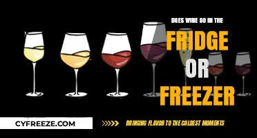Chill or Freeze: The Ultimate Wine Storage Dilemma