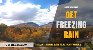 Wyoming's Winter Weather: Understanding Freezing Rain in the Cowboy State