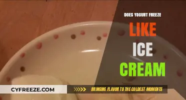 Chilly Treats: Does Yogurt Freeze Like Ice Cream?