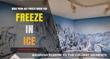 Timeless Chill: Exploring the Science of Age and Ice Preservation