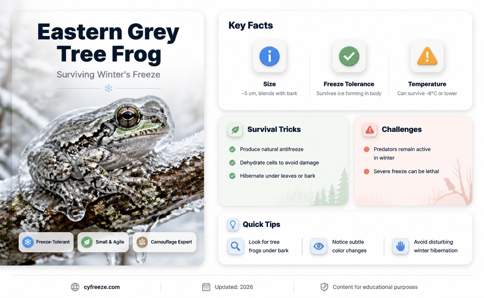 can the eastrrn grey tree frog survive freezing temperatures