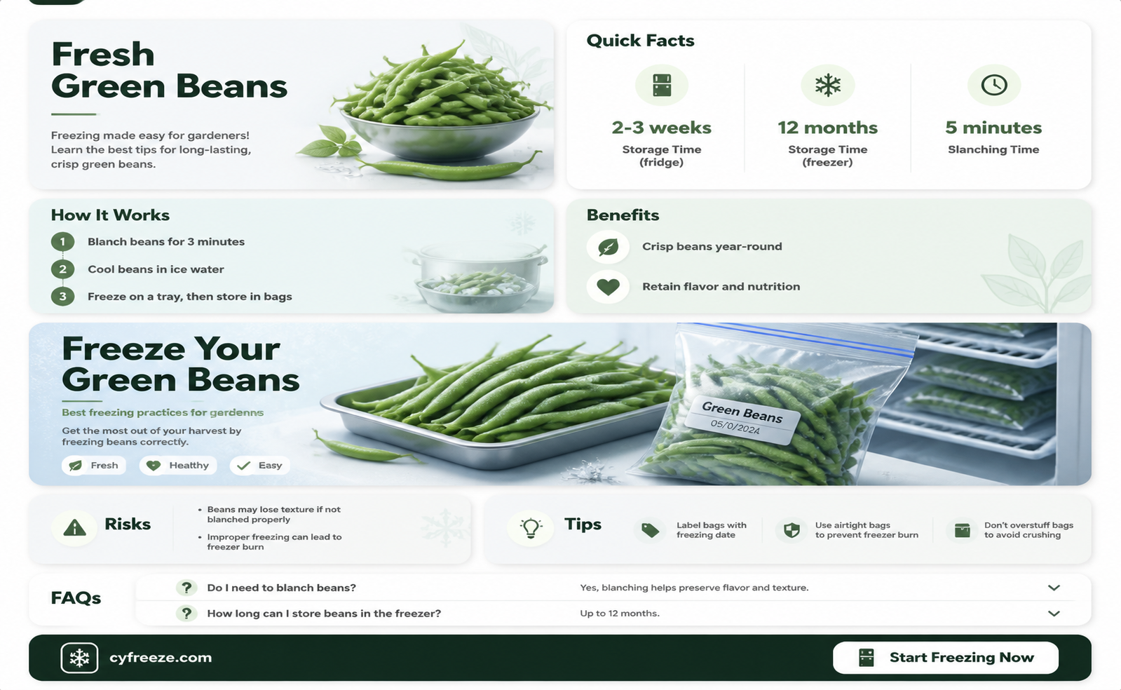 can u freeze fresh green beans