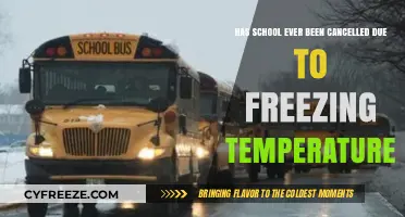 Freezing Temps and School Closures: A Historical Look at Cancellations