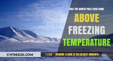 Has the North Pole Ever Experienced Above-Freezing Temperatures?