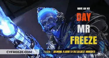 Chill Vibes: Embracing the Coolness of Mr. Freeze's Ice-Themed Shenanigans