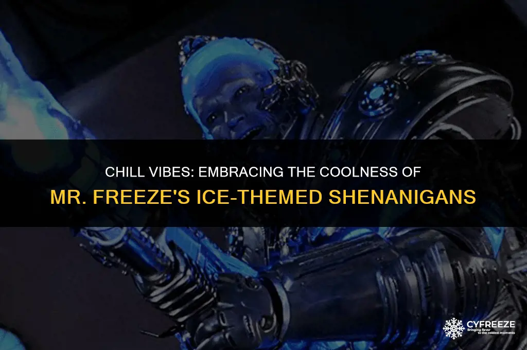 have an ice day mr freeze