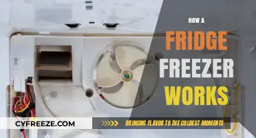 Cooling Essentials: Understanding the Mechanics of Your Fridge Freezer