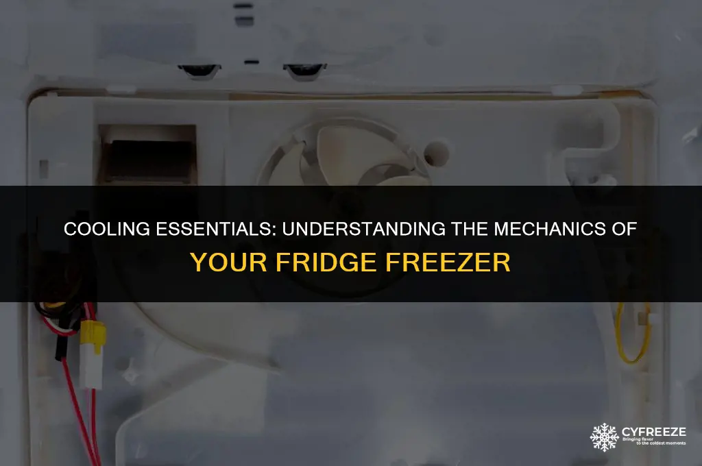 how a fridge freezer works