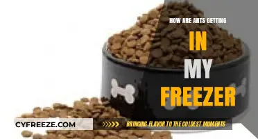 Ants in the Freezer: Uncovering Entry Points and Solutions