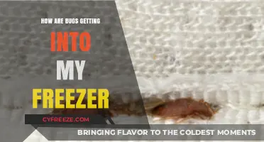 Unwanted Guests: How Bugs Are Invading Your Freezer and Solutions