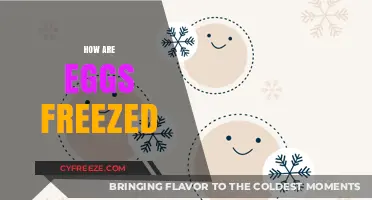 The Science Behind Freezing Eggs: A Step-by-Step Preservation Guide