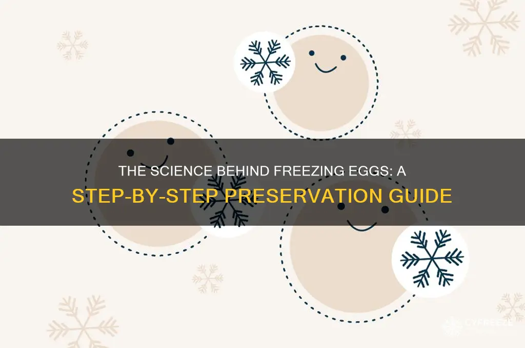 how are eggs freezed