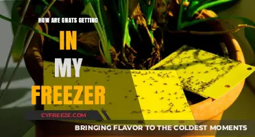 Gnats in the Freezer: Uncovering Entry Points and Prevention Tips