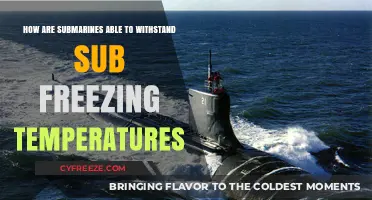Submarines' Survival Secrets: Battling Sub-Zero Depths and Extreme Cold