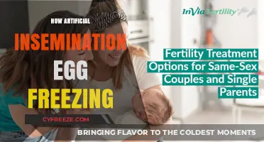 Egg Freezing and Artificial Insemination: Modern Fertility Options Explained