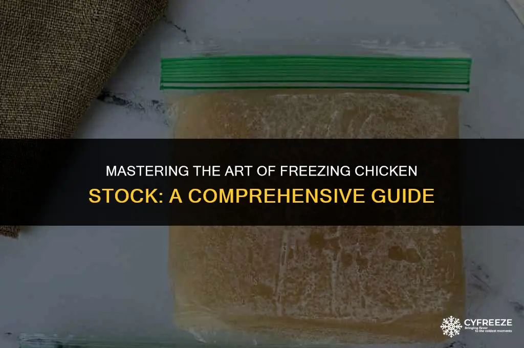 how best freeze chicken stock