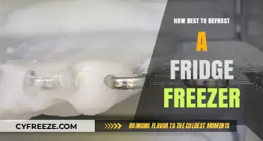 Efficient Defrosting: A Step-by-Step Guide for Your Fridge Freezer